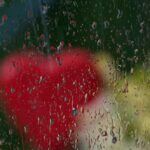Bild-2025-Steinborn_web