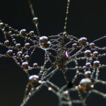 Unknown-2_web