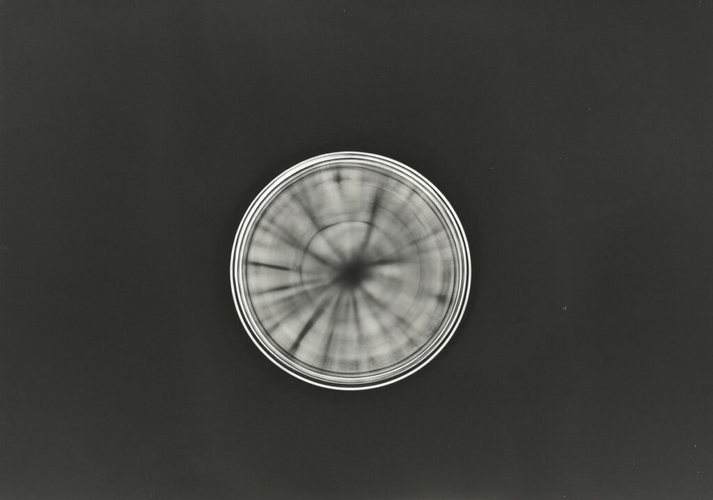 Ohne Titel. Fotogramm