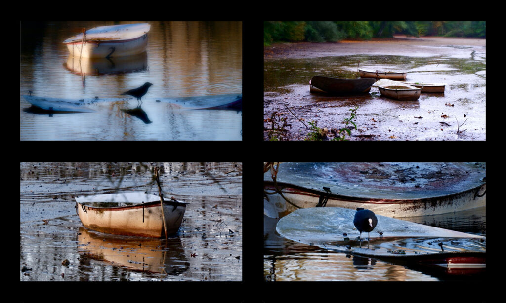 Trockenzeit | Fotografie | 30 x 40 | 2025 bis 2026